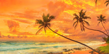 Sunset Palm Trees - 02121 - Wall Murals Printing - wall art