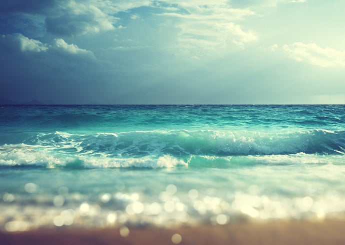 Wave on the Beach - 02125 - Wall Murals Printing - wall art