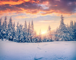 Sunset in the Forest with Snow  - 02176 - Wall Murals Printing - wall art