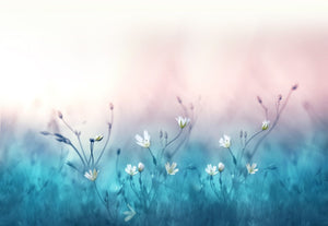 Beautiful little Flowers  - 02230 - Wall Murals Printing - wall art