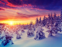Forest with Snow Sunset   - 0231 - Wall Murals Printing - wall art