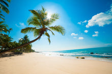 Beach With Palm Trees - 025 - Wall Murals Printing - wall art