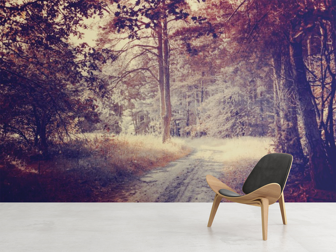 Road in Forest - 0257 - Wall Murals Printing - wall art