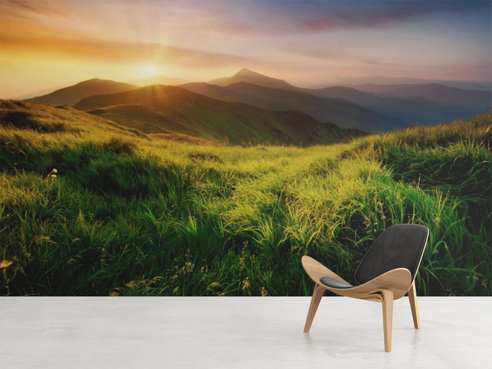 Field Sunset - 0259 - Wall Murals Printing - wall art
