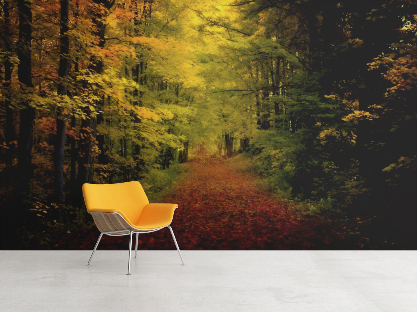 Trail in the Forest  - 02186 - Wall Murals Printing - wall art