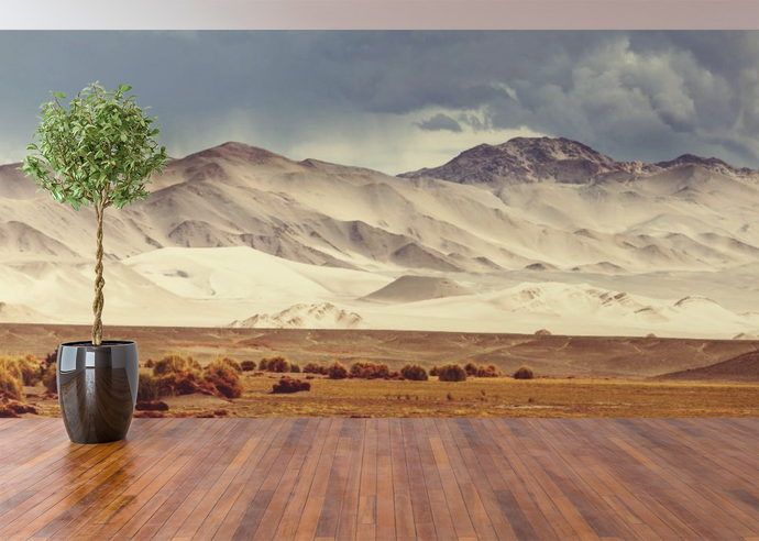 Desert Mountain - 0254 - Wall Murals Printing - wall art