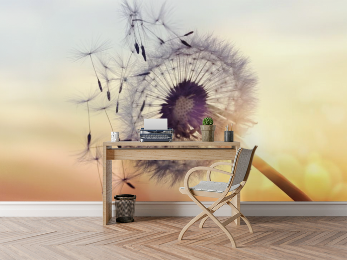 Flowers & Sunset - 02145 - Wall Murals Printing - wall art