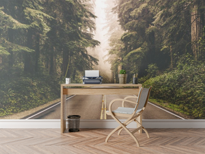 Forest Road - 0265 - Wall Murals Printing - wall art