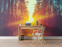 Sunset trough the Trees   - 0233 - Wall Murals Printing - wall art