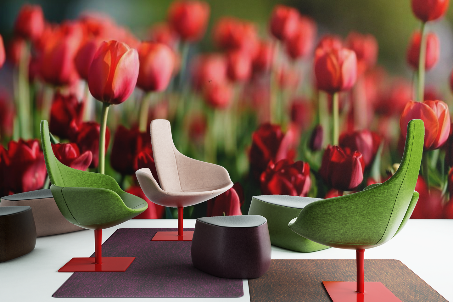 Red Tulips - 02138 - Wall Murals Printing - wall art