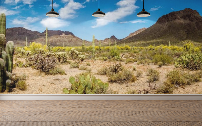 Desert Panoramic - 02135 - Wall Murals Printing - wall art