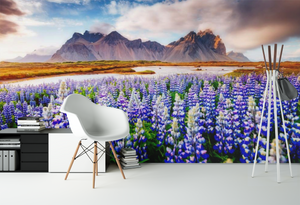 Field of Flowers & Mountains  - 02205 - Wall Murals Printing - wall art