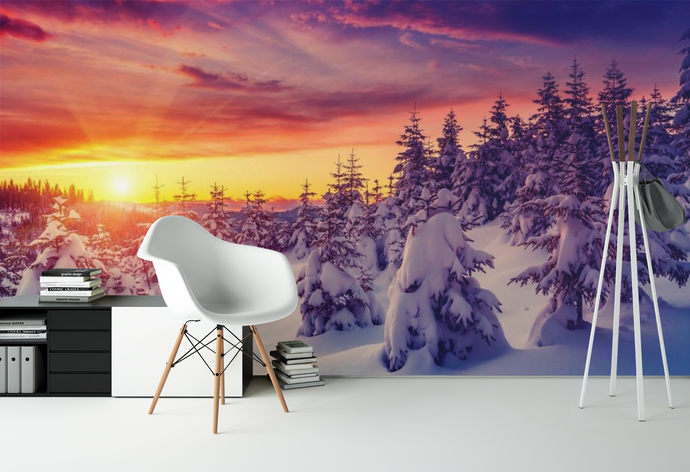 Forest with Snow Sunset   - 0231 - Wall Murals Printing - wall art