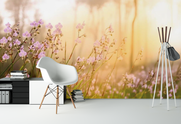 Sunny field - 02136 - Wall Murals Printing - wall art