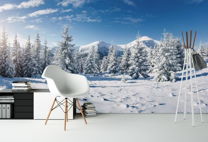 Beautiful Snow Landscape  - 02190 - Wall Murals Printing - wall art