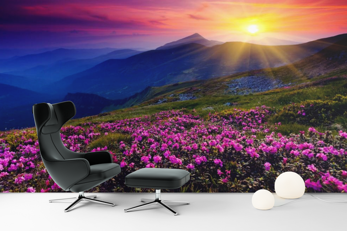 Field of Flowers - 024 - Wall Murals Printing - wall art