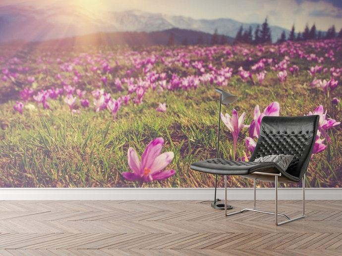 Field of Flowers - 0258 - Wall Murals Printing - wall art